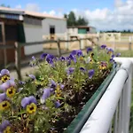 Апартаменты Reiterhof An Der Nordsee *