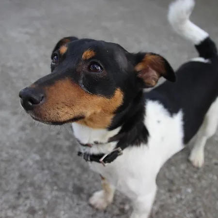 Apartamento Reiterhof An Der Nordsee *