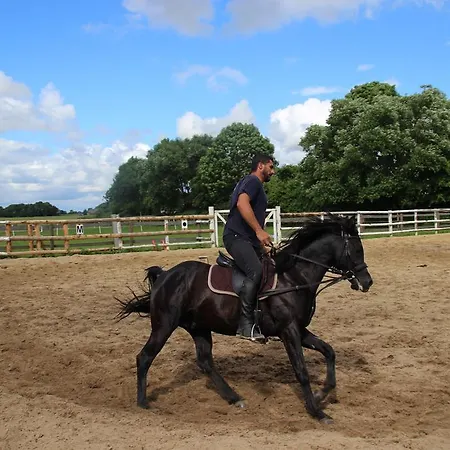 Reiterhof An Der Nordsee Witzwort