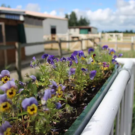 公寓 Reiterhof An Der Nordsee *